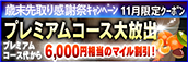 【11月限定】プレミアム★マイルクーポン